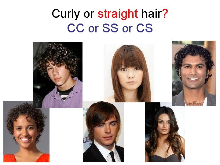 Curly or straight hair? CC or SS or CS 