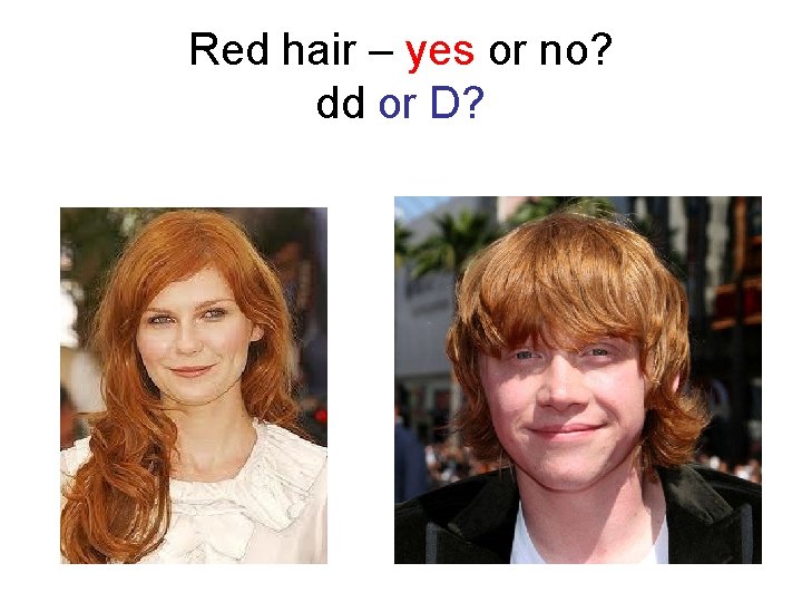 Red hair – yes or no? dd or D? 