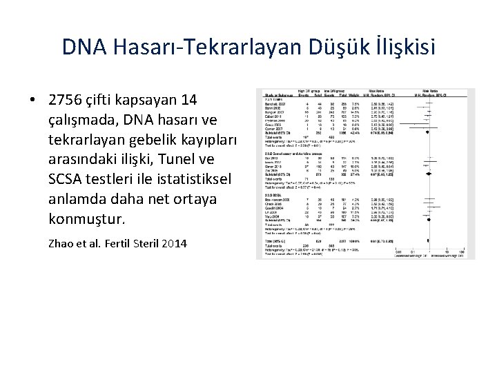 DNA Hasarı-Tekrarlayan Düşük İlişkisi • 2756 çifti kapsayan 14 çalışmada, DNA hasarı ve tekrarlayan