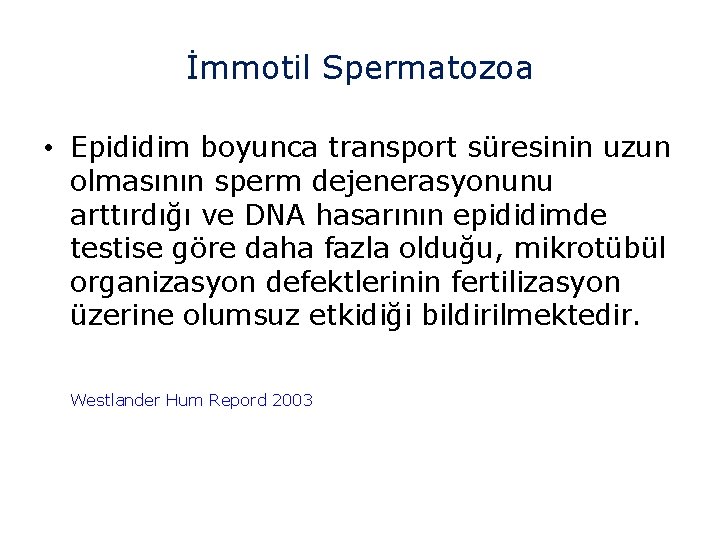 İmmotil Spermatozoa • Epididim boyunca transport süresinin uzun olmasının sperm dejenerasyonunu arttırdığı ve DNA