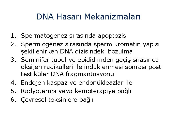 DNA Hasarı Mekanizmaları 1. Spermatogenez sırasında apoptozis 2. Spermiogenez sırasında sperm kromatin yapısı şekillenirken