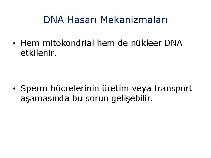 DNA Hasarı Mekanizmaları • Hem mitokondrial hem de nükleer DNA etkilenir. • Sperm hücrelerinin