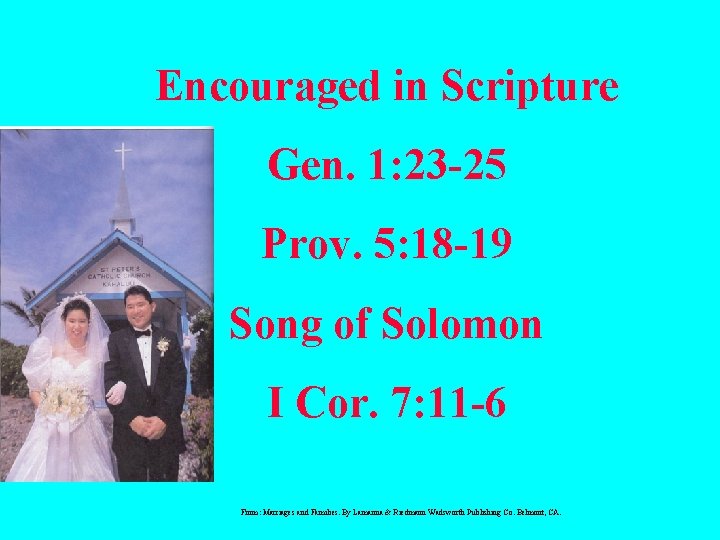 Encouraged in Scripture Gen. 1: 23 -25 Prov. 5: 18 -19 Song of Solomon