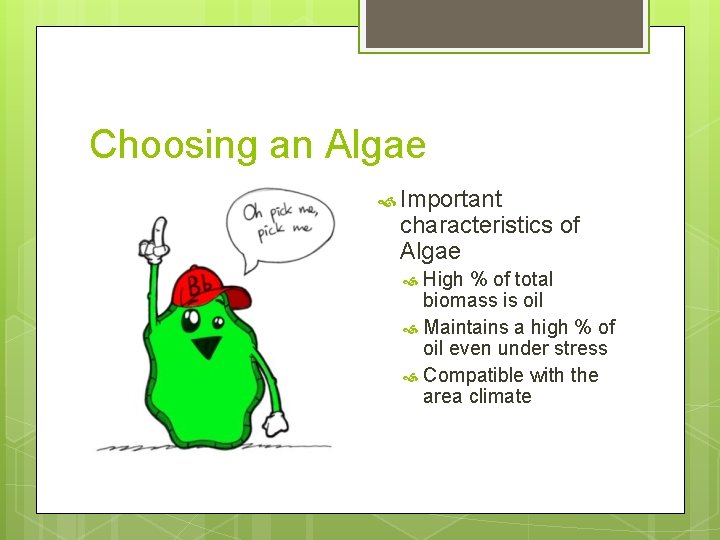 Choosing an Algae Important characteristics of Algae High % of total biomass is oil