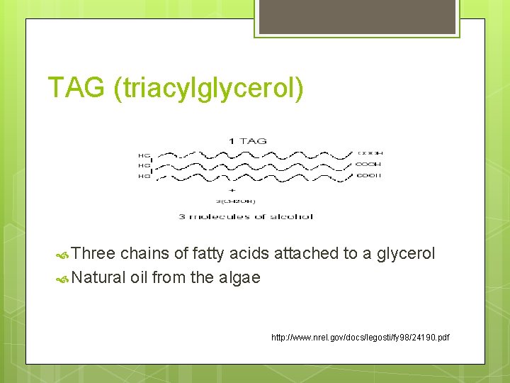 TAG (triacylglycerol) Three chains of fatty acids attached to a glycerol Natural oil from