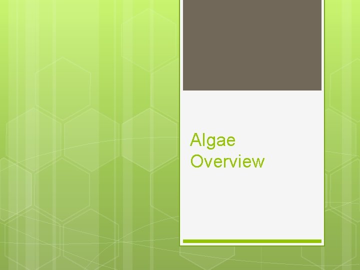 Algae Overview 