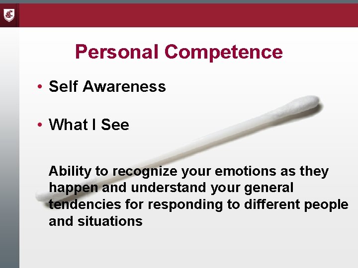 Personal Competence • Self Awareness • What I See Ability to recognize your emotions