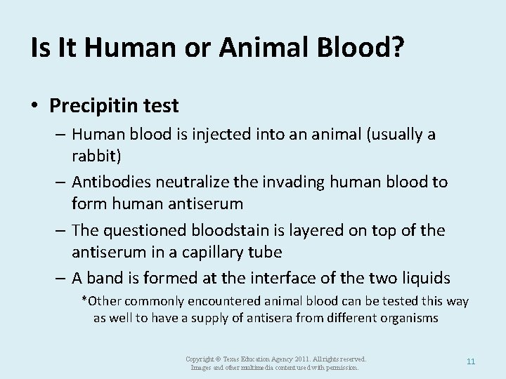 Is It Human or Animal Blood? • Precipitin test – Human blood is injected