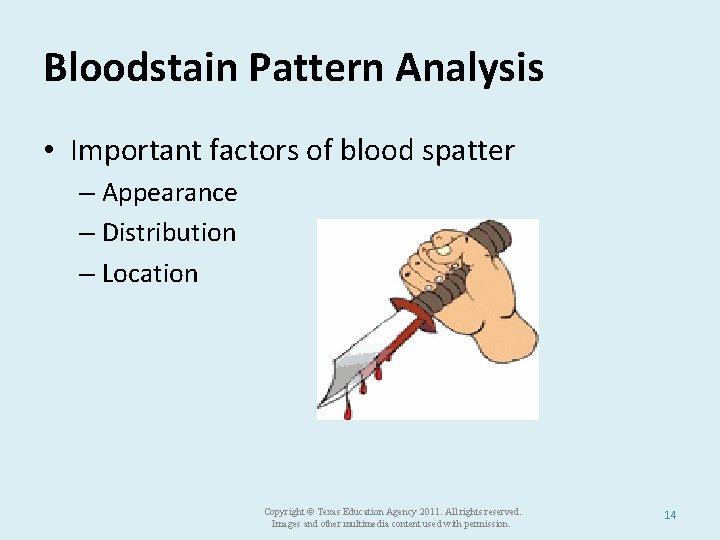 Bloodstain Pattern Analysis • Important factors of blood spatter – Appearance – Distribution –