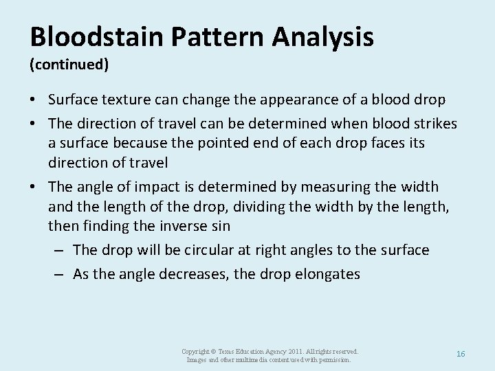 Bloodstain Pattern Analysis (continued) • Surface texture can change the appearance of a blood