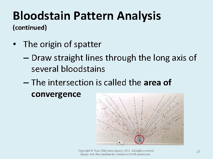 Bloodstain Pattern Analysis (continued) • The origin of spatter – Draw straight lines through