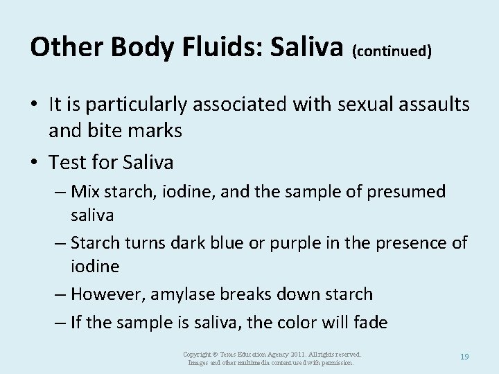 Other Body Fluids: Saliva (continued) • It is particularly associated with sexual assaults and