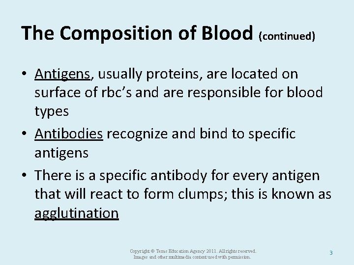 The Composition of Blood (continued) • Antigens, usually proteins, are located on surface of