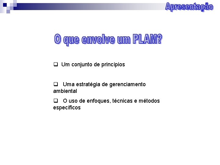 q Um conjunto de princípios q Uma estratégia de gerenciamento ambiental q O uso