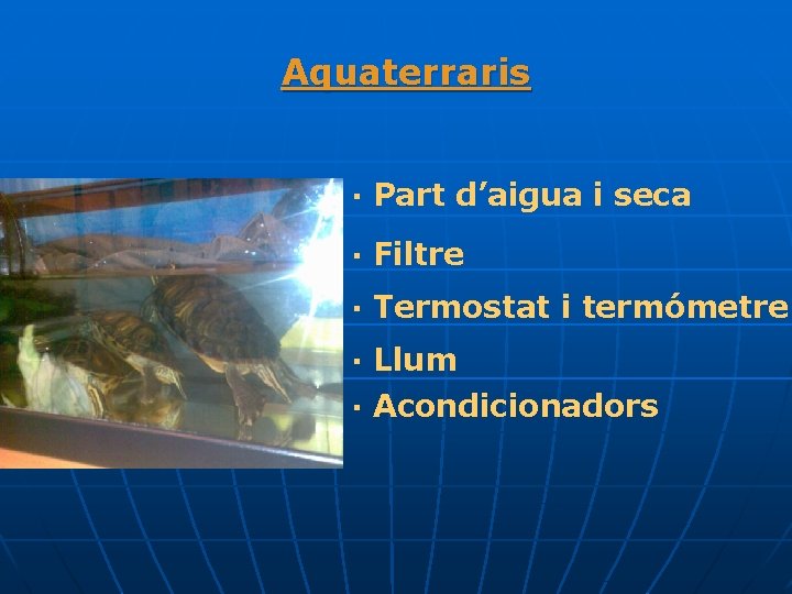 Aquaterraris · Part d’aigua i seca · Filtre · Termostat i termómetre · Llum