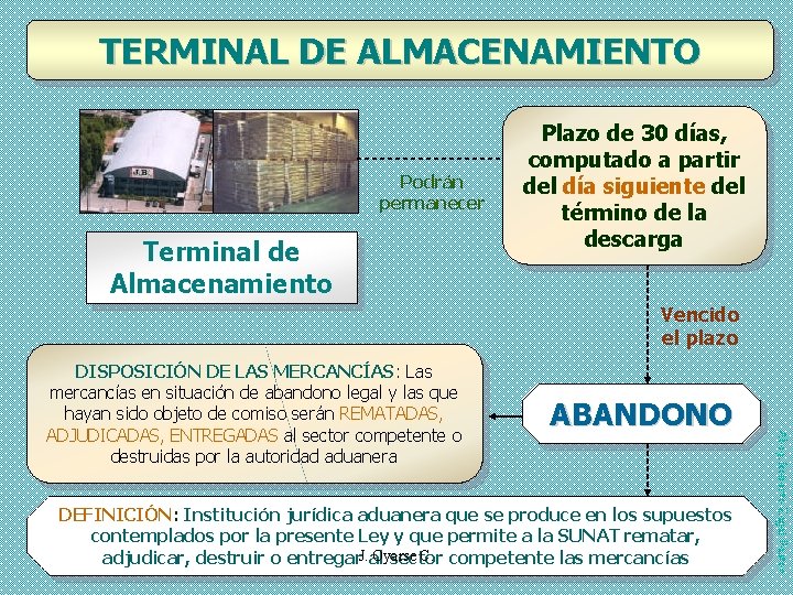 TERMINAL DE ALMACENAMIENTO Podrán permanecer Terminal de Almacenamiento Plazo de 30 días, computado a