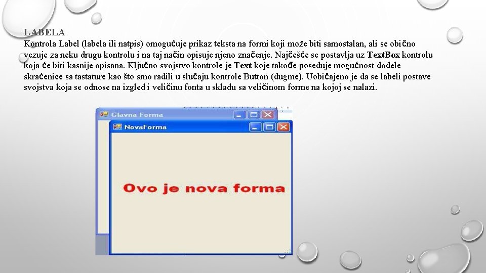LABELA Kontrola Label (labela ili natpis) omogućuje prikaz teksta na formi koji može biti
