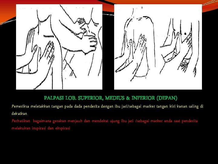 PALPASI LOB. SUPERIOR, MEDIUS & INFERIOR (DEPAN) Pemeriksa meletakkan tangan pada dada penderita dengan