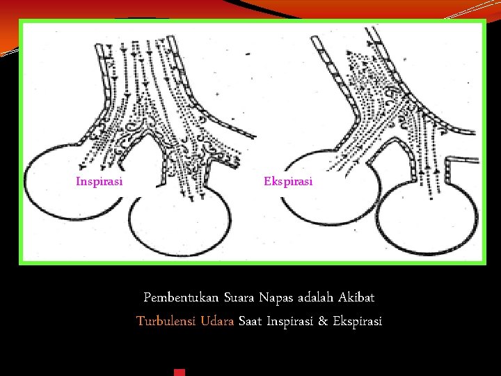 Inspirasi Ekspirasi Pembentukan Suara Napas adalah Akibat Turbulensi Udara Saat Inspirasi & Ekspirasi Inspirasi Ekspirasi Pembentukan Suara Napas adalah Akibat Turbulensi Udara Saat Inspirasi & Ekspirasi