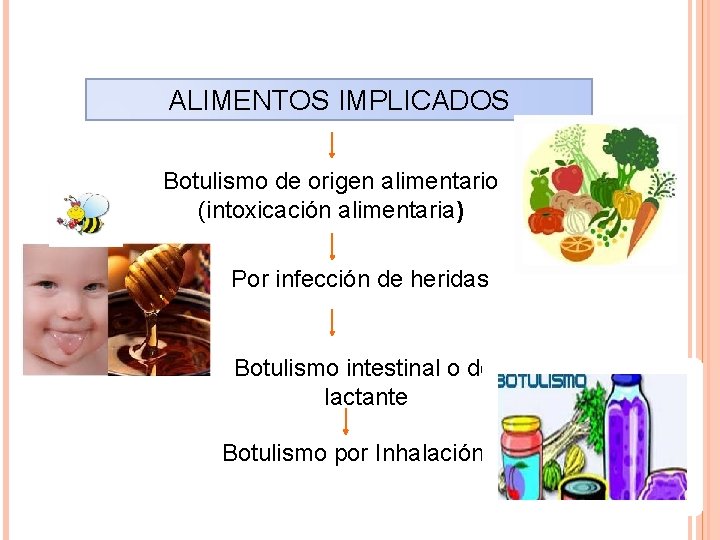 ALIMENTOS IMPLICADOS Botulismo de origen alimentario (intoxicación alimentaria) Por infección de heridas Botulismo intestinal