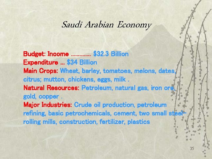 Saudi Arabian Economy Budget: Income. . . $32. 3 Billion Expenditure. . . $34