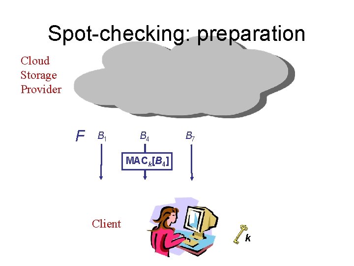 Spot-checking: preparation Cloud Storage Provider F B 1 B 4 B 7 MACk[B 4]