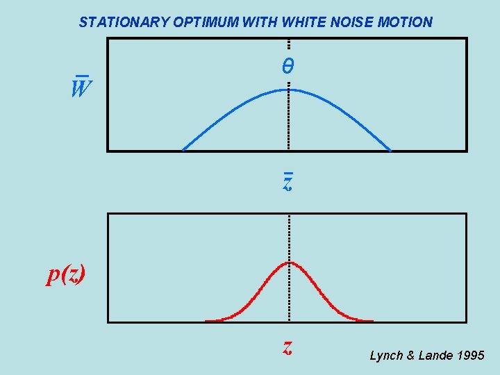 STATIONARY OPTIMUM WITH WHITE NOISE MOTION W θ z p(z) z Lynch & Lande