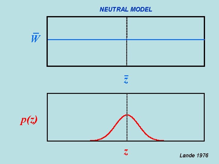 NEUTRAL MODEL W z p(z) z Lande 1976 