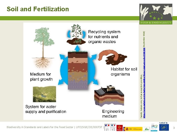 Fuente: Nature. com, Soil as ecosystem providers; https: //www. nature. com/scitable/knowledge/library/what-are-soils-67647639 (September 2018) Soil