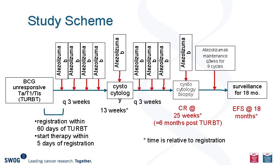 BCG unresponsive Ta/T 1/Tis (TURBT) q 3 weeks • registration within 60 days of