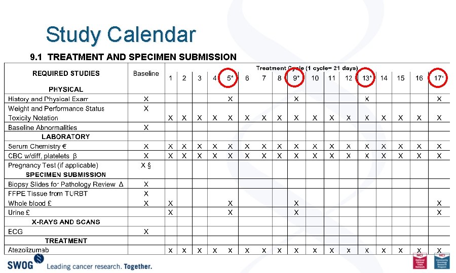 Study Calendar 9. 1 TREATMENT AND SPECIMEN SUBMISSION 