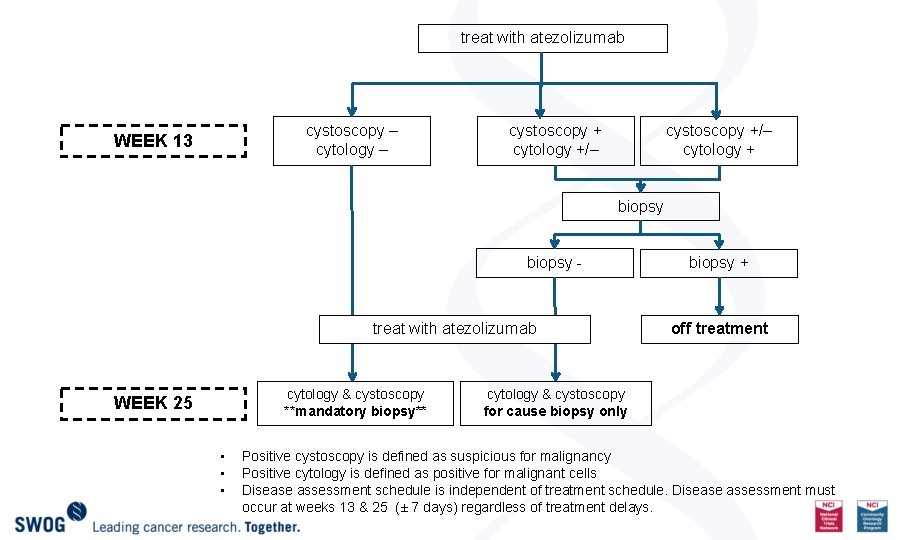 treat with atezolizumab cystoscopy – cytology – WEEK 13 cystoscopy + cytology +/– cystoscopy