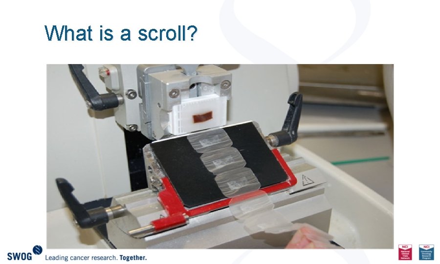 What is a scroll? 