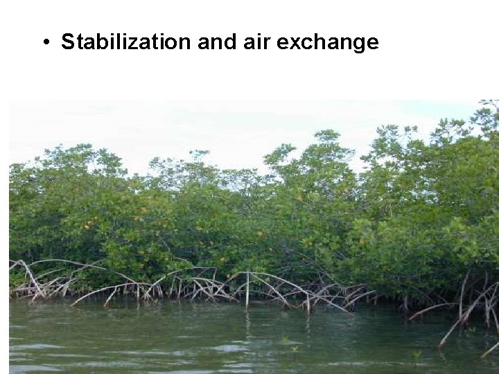  • Stabilization and air exchange 