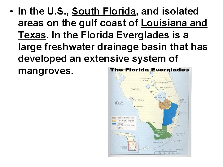  • In the U. S. , South Florida, and isolated areas on the