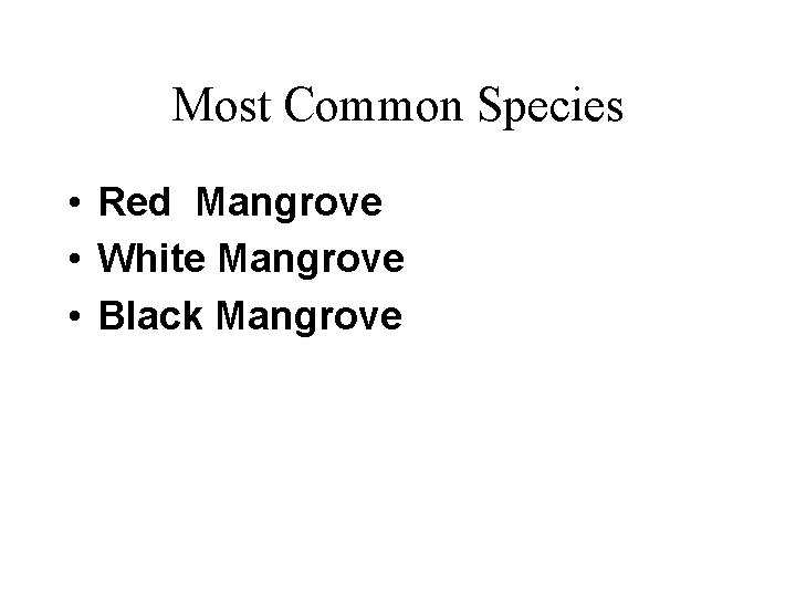 Most Common Species • Red Mangrove • White Mangrove • Black Mangrove 