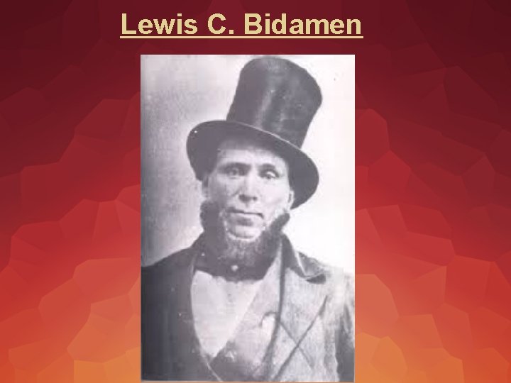 Lewis C. Bidamen 