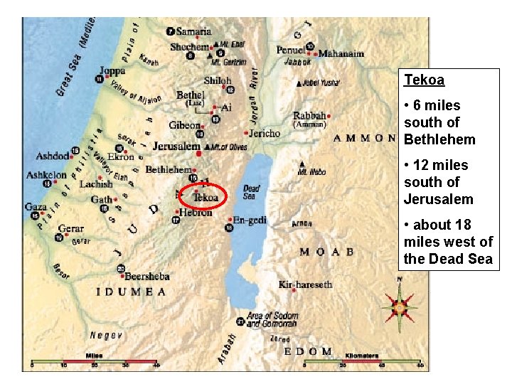 Tekoa • 6 miles south of Bethlehem • 12 miles south of Jerusalem •