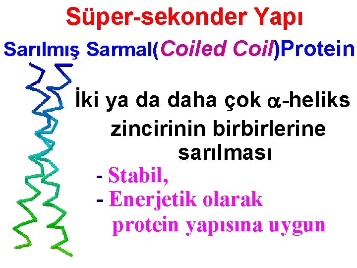 Süper-sekonder Yapı Sarılmış Sarmal(Coiled Coil)Protein İki ya da daha çok -heliks zincirinin birbirlerine sarılması