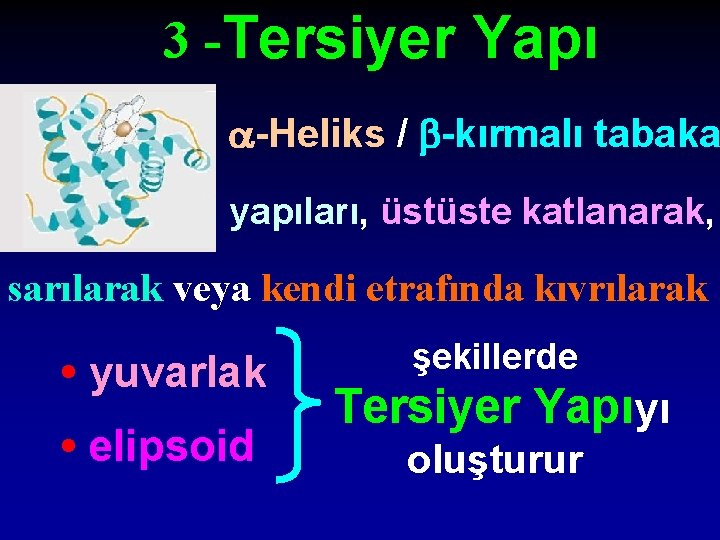 3 -Tersiyer Yapı -Heliks / -kırmalı tabaka yapıları, üstüste katlanarak, sarılarak veya kendi etrafında