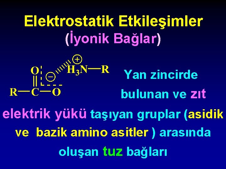 Elektrostatik Etkileşimler (İyonik Bağlar) Yan zincirde bulunan ve zıt elektrik yükü taşıyan gruplar (asidik