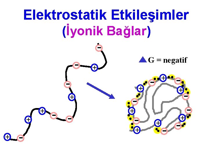 Elektrostatik Etkileşimler (İyonik Bağlar) G = negatif + + + 