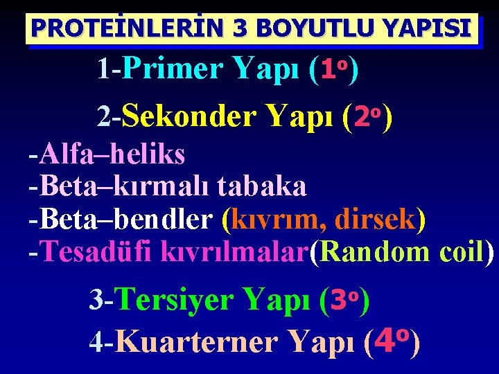 PROTEİNLERİN 3 BOYUTLU YAPISI 1 -Primer Yapı (1 o) 2 -Sekonder Yapı (2 o)