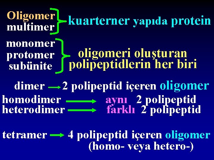 Oligomer multimer monomer protomer subünite kuarterner yapıda protein oligomeri oluşturan polipeptidlerin her biri dimer