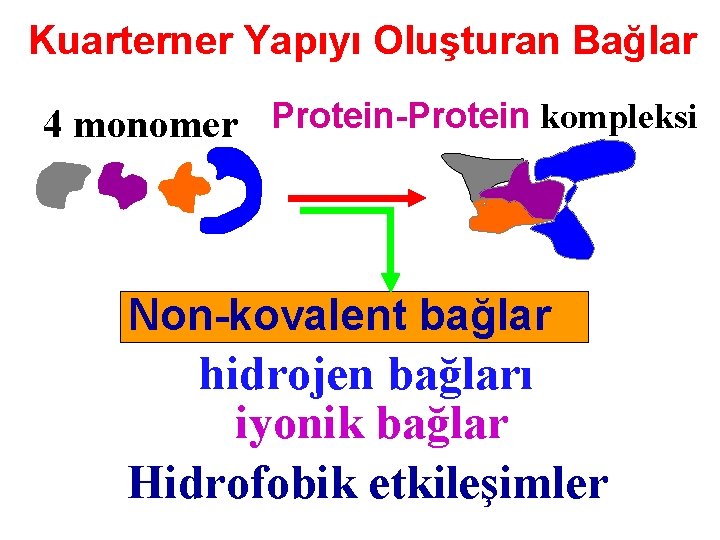  Kuarterner Yapıyı Oluşturan Bağlar 4 monomer Protein-Protein kompleksi Non-kovalent bağlar hidrojen bağları iyonik