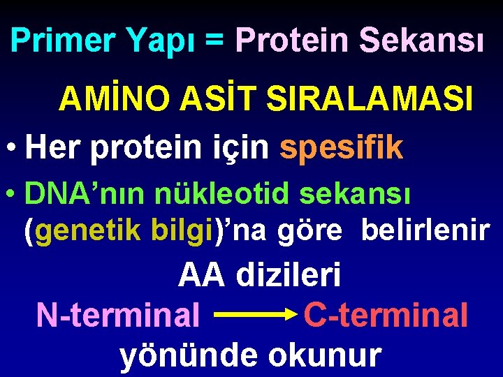 Primer Yapı = Protein Sekansı AMİNO ASİT SIRALAMASI • Her protein için spesifik •