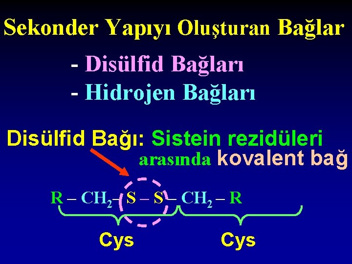 Sekonder Yapıyı Oluşturan Bağlar - Disülfid Bağları - Hidrojen Bağları Disülfid Bağı: Sistein rezidüleri