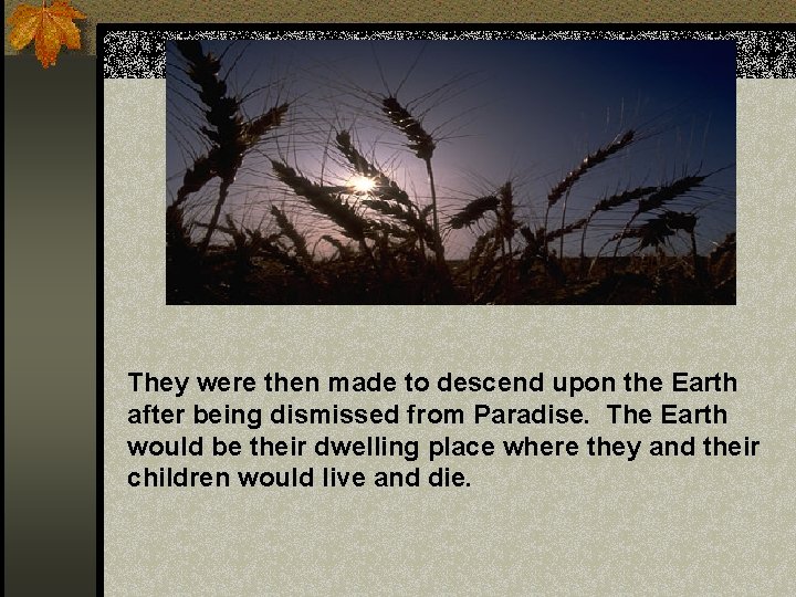 They were then made to descend upon the Earth after being dismissed from Paradise.