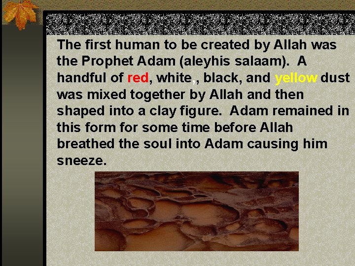 The first human to be created by Allah was the Prophet Adam (aleyhis salaam).
