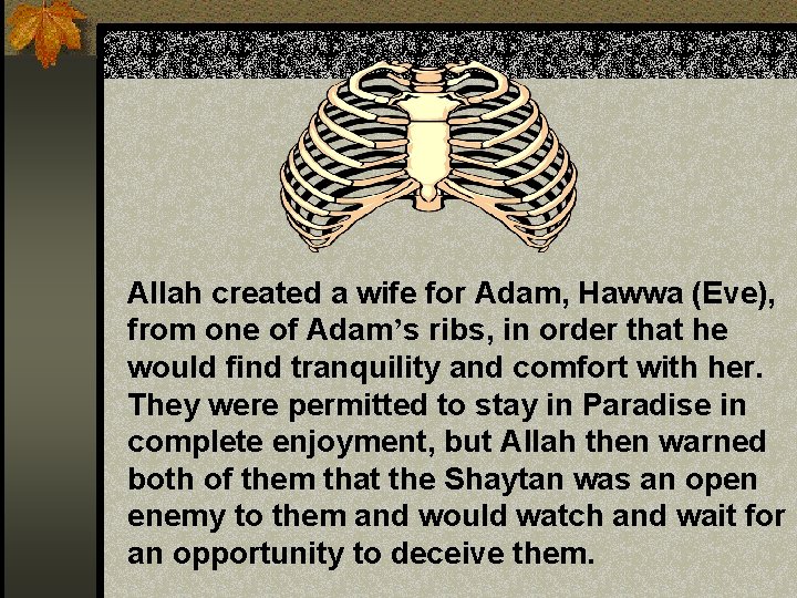 Allah created a wife for Adam, Hawwa (Eve), from one of Adam’s ribs, in